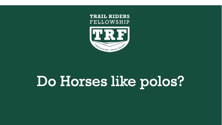 Horses and polo mints!