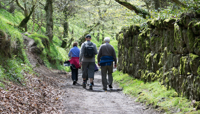 ramblers_countryside