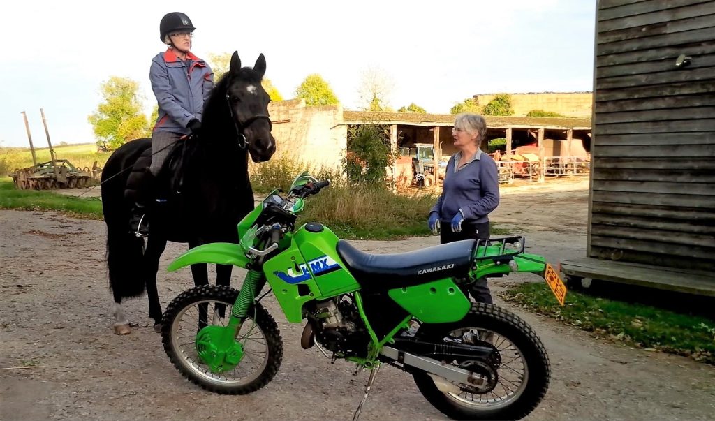Safety first – understanding horse riders - Trail Riders Fellowship
