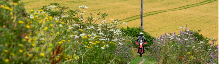 rideright_header_2040_600