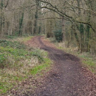 Berkshire, Hogoak Lane