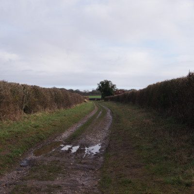 Broughton Drove