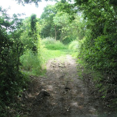 Essex