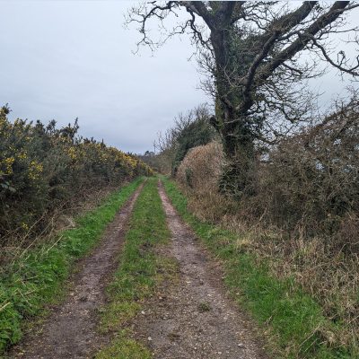 Minterne Hill_dor2