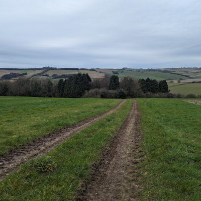 Nether Cerne_dor2