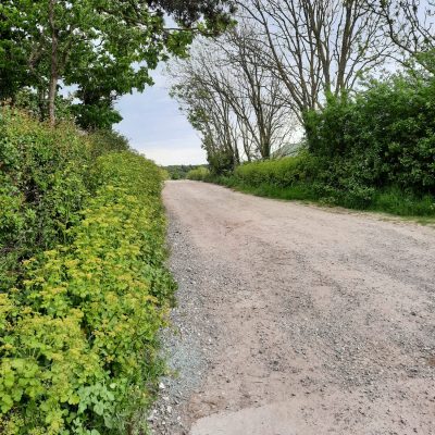 Old Coach Road
