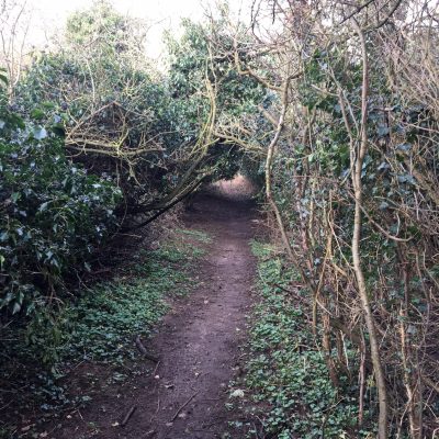 Suffolk Fen Lane, Holywell Row