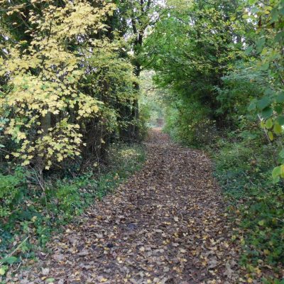 duckwick-lane_south-glos